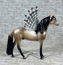 Peter stone andalusian for sale  Burlington