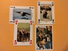 Discover american wildlife for sale  Westerville