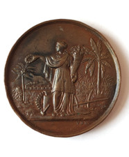 Medaille batavia tentoonstelli gebraucht kaufen  Eisenhüttenstadt