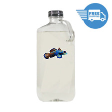 Live organic copepods for sale  Avon Lake