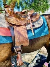 Genuine fallis balance for sale  Frazier Park