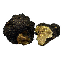 Tartufo estivo nero usato  Spedire a Italy