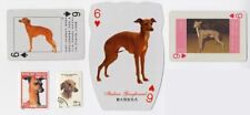 Italian greyhound vintage for sale  COLEFORD