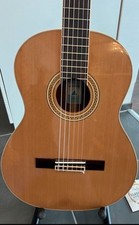 Gitarre mancha palo gebraucht kaufen  Klosterlechfeld