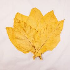 Virginia gold klasse gebraucht kaufen  Hoyerswerda