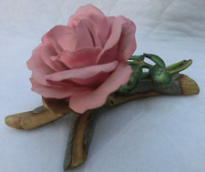 queen elizabeth rose for sale queen elizabeth rose for sale MANSFIELD