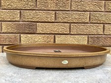 Large golden brown for sale  ABERDEEN