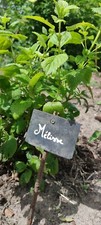 étiquette rectangulaire ardoi d'occasion  Orleans-