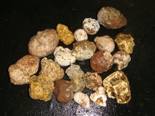 agate nodule for sale agate nodule for sale Dyer
