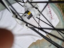 Coppia ruote mtb usato  Poggio Renatico