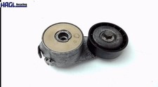 Spannrolle hauptriemen 5523282 gebraucht kaufen  Rudelzhausen