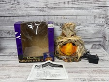 Halloween fiber optic for sale  Dekalb