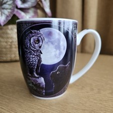 Lisa parker owl for sale  MORECAMBE