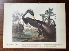 Vintage 1940 audubon for sale  Port Orchard
