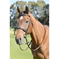 Kincade brown extra for sale  ALFORD