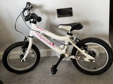 Ridgeback melody girls for sale  LONDON
