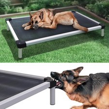 Titannest cooling chew for sale  Brentwood