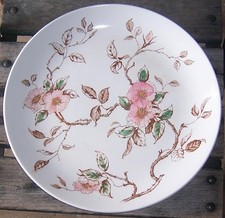Nasco china springtime for sale  Owens Cross Roads