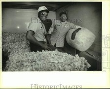1993 press photo for sale  Memphis