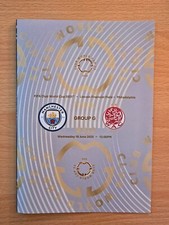 Unoffical pirate fifa for sale  BRIGHTON