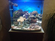 Resun dms 500pl for sale  CHORLEY