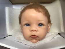 Adult collector ashton for sale  Rochester