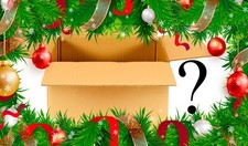 Christmas ornament mystery for sale  Wickliffe