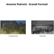 Antonio pedretti lavori usato  Torino