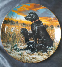 Hamilton collection plate for sale  LOUTH