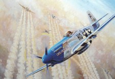 Mustang laura michelle gebraucht kaufen  Öhringen