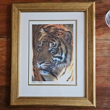 Tiger portrait stephen for sale  LEEDS