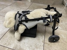 dog wheelchair medium for sale dog wheelchair medium for sale Waterloo