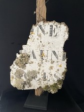 Décoration d'intérieur d'occasion  Aire-sur-l'Adour