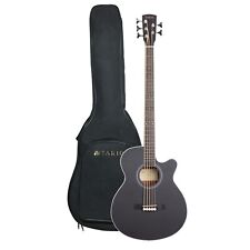 Tario string acoustic for sale  Ontario