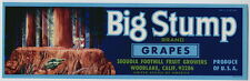 Big stump vintage for sale  Chico