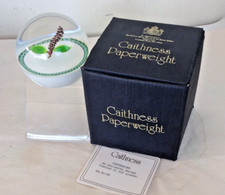 Caithness paperweight limited for sale  IPSWICH