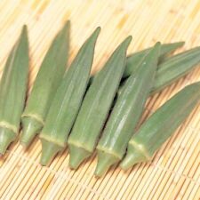 Okra seeds jambalaya for sale  Philadelphia