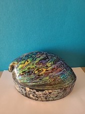 Schmuckschatulle dose muschel gebraucht kaufen  Kornwestheim