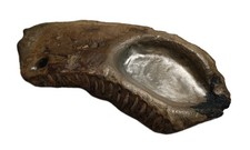 Lâmpada de sebo de pedra extremamente rara neolítica à Idade do Bronze - amonita fossilizada comprar usado  Enviando para Brazil