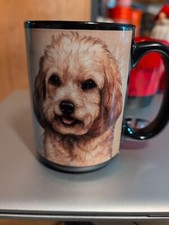 Cockapoo dog puppy for sale  Baltimore