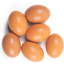 Weighted dummy chicken for sale  UK