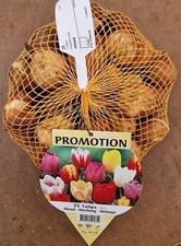 Offerta tulipani mix usato  Torre Canavese