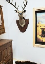 Usado, Casa de bonecas miniatura montada artesanalmente 9 peças cabeça de veado comprar usado  Enviando para Brazil