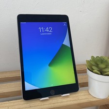 Apple ipad mini usato  Salice Salentino