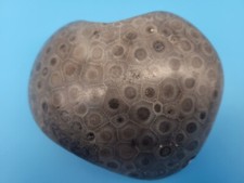 Large heart shaped for sale  Sebring