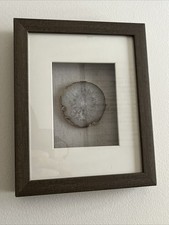 Framed agate geodeslide for sale  Westminster