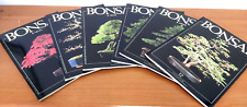 Bonsai news anno usato  Siderno