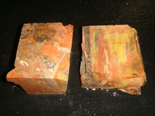 Old rainbow petrified for sale  Dyer