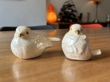 doves for sale doves for sale SWADLINCOTE