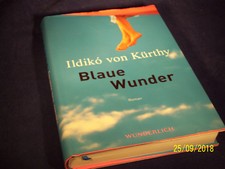 Ildikó kürthy blaue gebraucht kaufen  Nürnberg